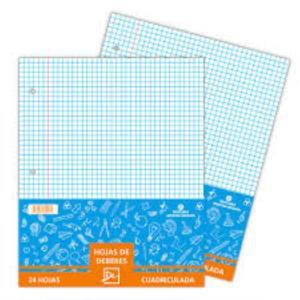 Hoja de Deberes Dali Cuadriculada