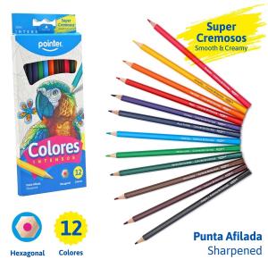 Lapices de Colores x 12 Calidad SUPERIOR POINTER